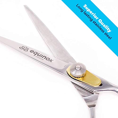 Equinox Profesyonel Tıraş Bıçağı Serisi-Kuaför Saç Kesme ve İnceltme / Tekstüre Makas / Makas Seti-6.5 İnç Saç Kesme Makası