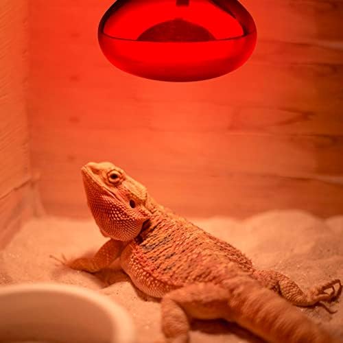 Sürüngen Kırmızı ampuller-100 W Kızılötesi Basking Spot lamba sürüngen ısı lambası sakallı Ejderha kaplumbağa Münzevi Yengeç