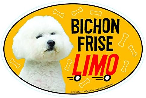 Bichon Frise Araba Mıknatısları: Gemide Bichon Frise Limuzin - Oval 6 x 4 Oto / Kamyon / Buzdolabı / Posta Kutusu (Komik Araba