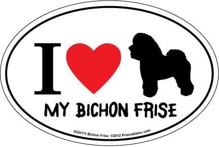 Bichon Frise Araba Mıknatısları: Şımarık Çürük Bichon Frise-Oval 6 x 4 Oto / Kamyon / Buzdolabı / Posta Kutusu (Komik Araba