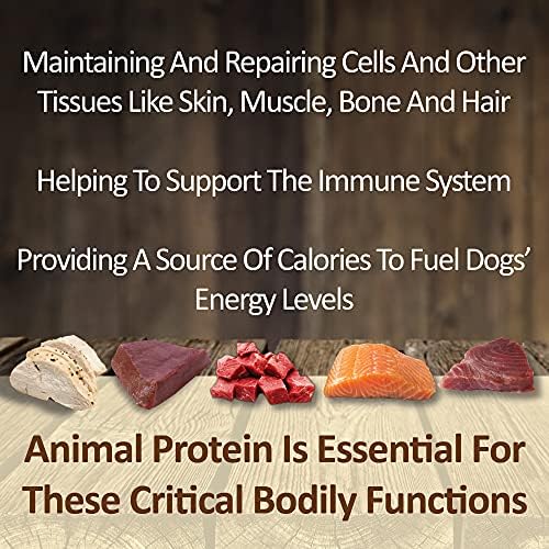 Tüm Yaşam Evcil Hayvan Ürünleri Sağlıklı Köpek Muameleleri, İnsan Sınıfı Somon, Eğitim için Zengin Protein, Seçici Yiyiciler,