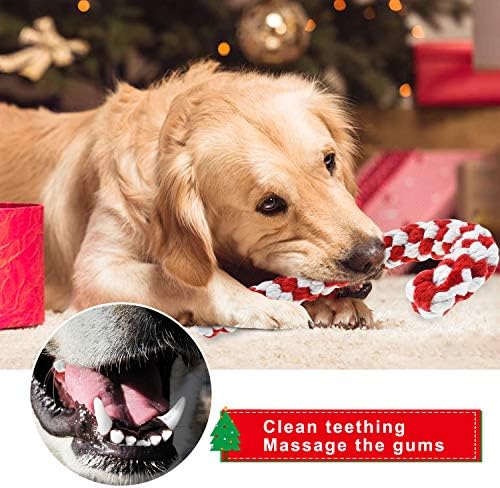 Malier Noel Köpek Halat Oyuncak, Noel Klasik Elemanları Yıkılmaz Interaktif Köpek Oyuncaklar, Dayanıklı Sert Çiğnemek Koltuk
