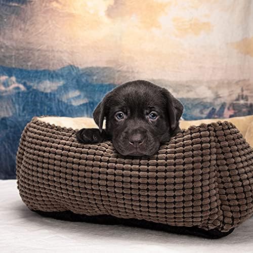 MIXJOY Büyük Orta Küçük Köpekler için köpek yatağı, Dikdörtgen Yıkanabilir Uyku Köpek Yatağı, Ortopedik Pet Çekyat, Kapalı