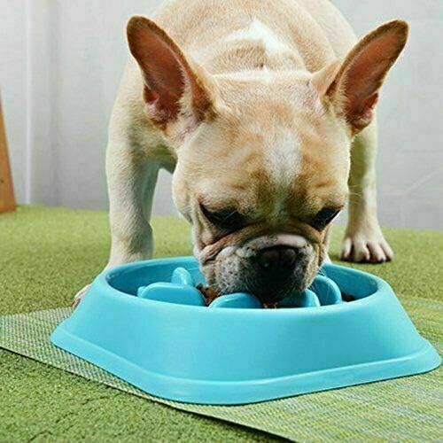 Ezonedeal Yavaş Besleyici Kase Sağlıklı Gıda Eğlenceli Anti-Choke Pet kaseler için Köpek, Durdurma Bloat Köpek Kase, Pet Kaymaz