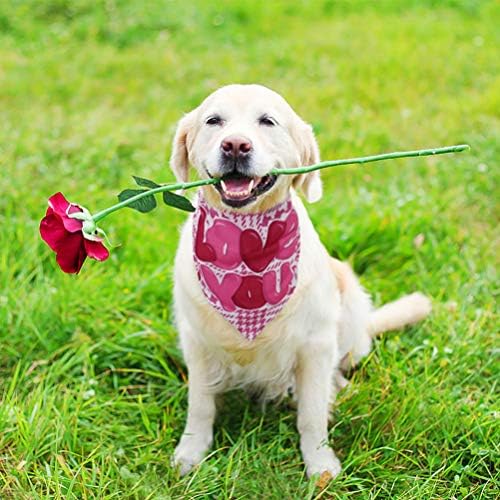 EXPAWLORER Sevgililer Günü Köpek Oyuncakları ve Bandana Seti-4 Paket Köpek Çiğneme Oyuncakları ve Bandana, Peluş Gıcırtılı